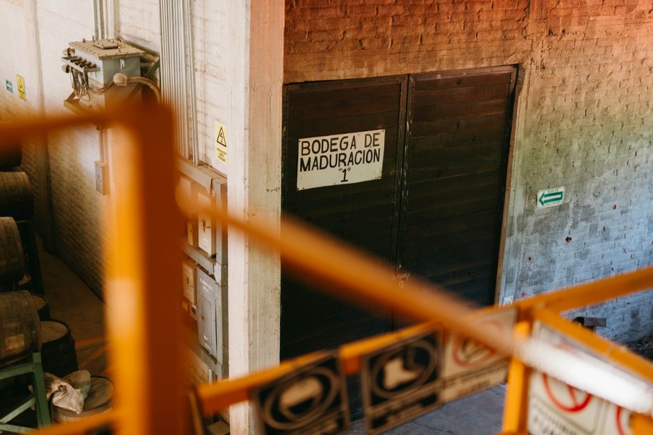 BODEGA-CAVE