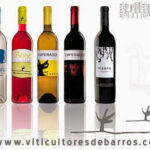 Bodegas Viticultores De Barros